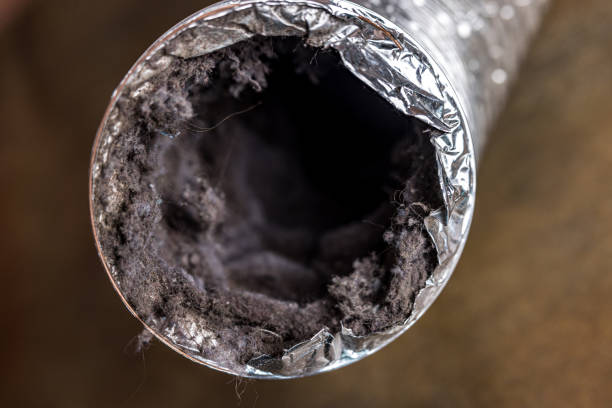 Best Air Duct Sanitizing Services  in Oakland, OR